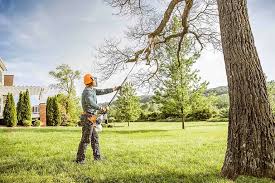 Best Tree and Shrub Care  in Hallam, PA